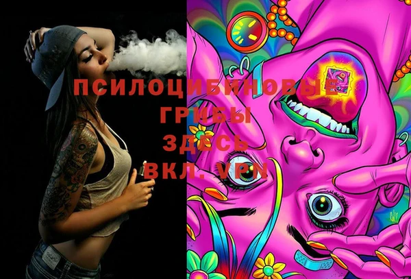 PSILOCYBIN Баксан