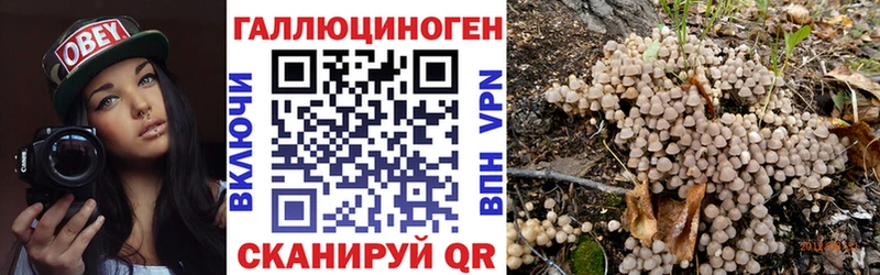 Галлюциногенные грибы прущие грибы Североуральск